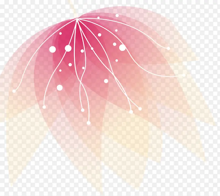 花朵