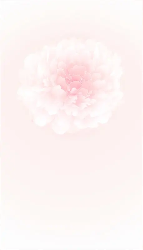 梦幻粉色盛开花朵图片