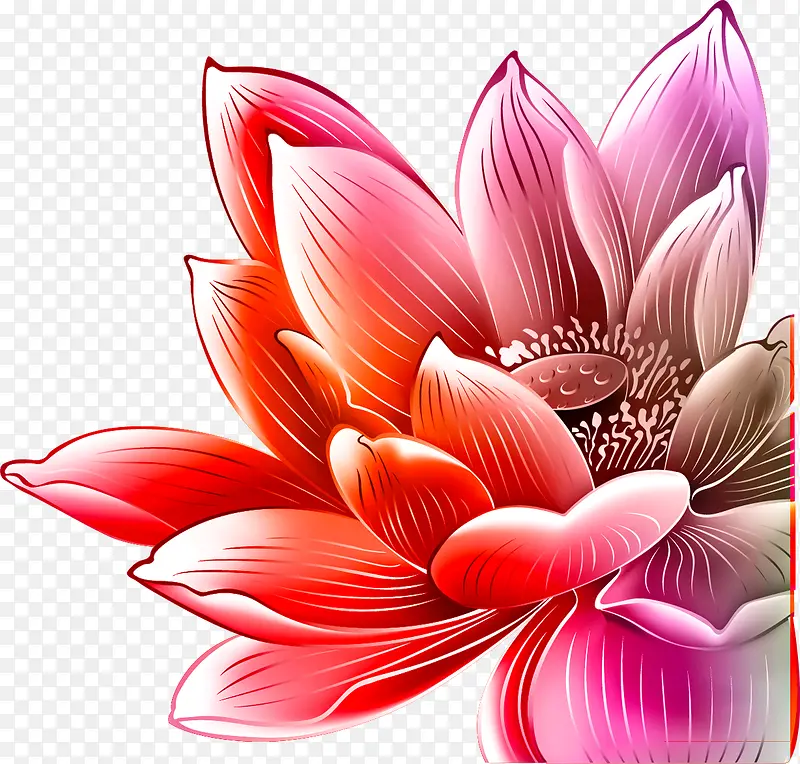 红色手绘荷花医疗