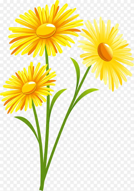 植物太阳花工艺手绘元素