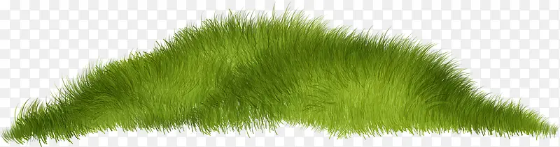 草坪