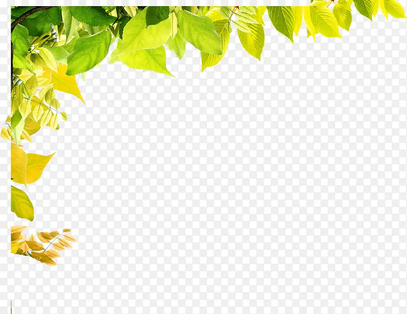 黄绿色高清树叶边框装饰