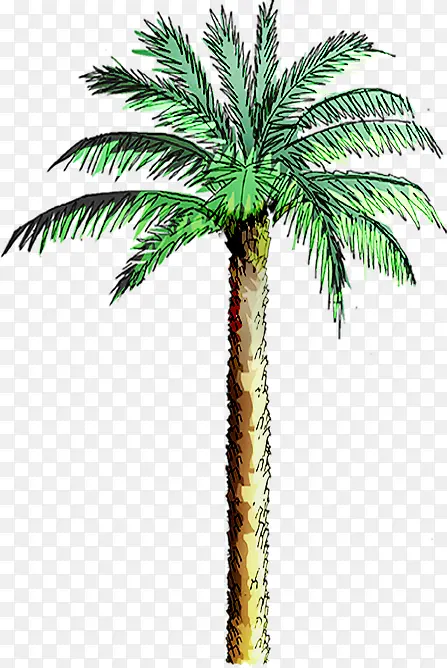 水彩手绘合成绿色的椰子树