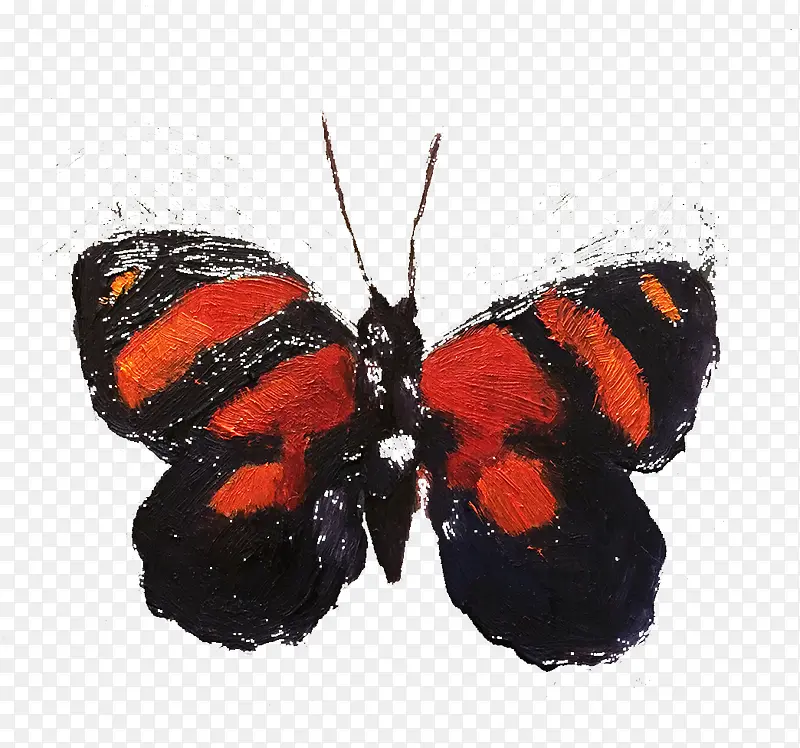 红黑色的蝴蝶图案
