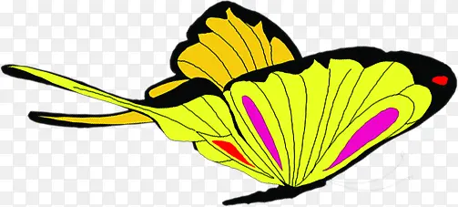 黄色时尚蝴蝶设计