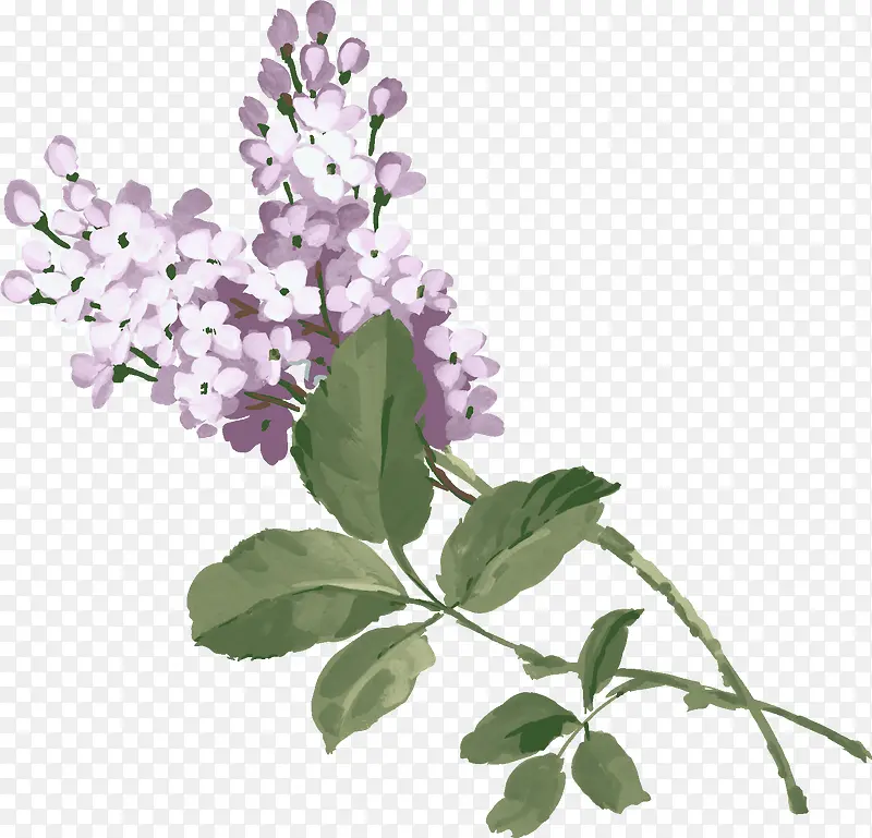 紫色水墨小花植物装饰