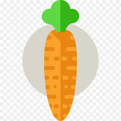 Carrot 图标
