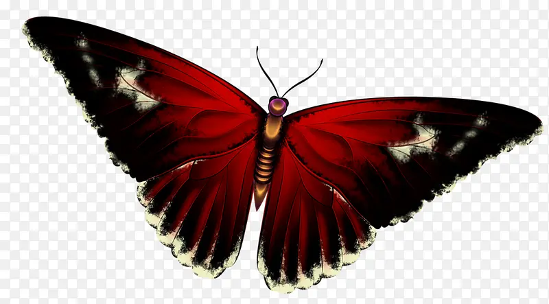 红色复古翅膀蝴蝶