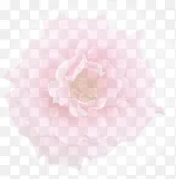 花朵装饰元素