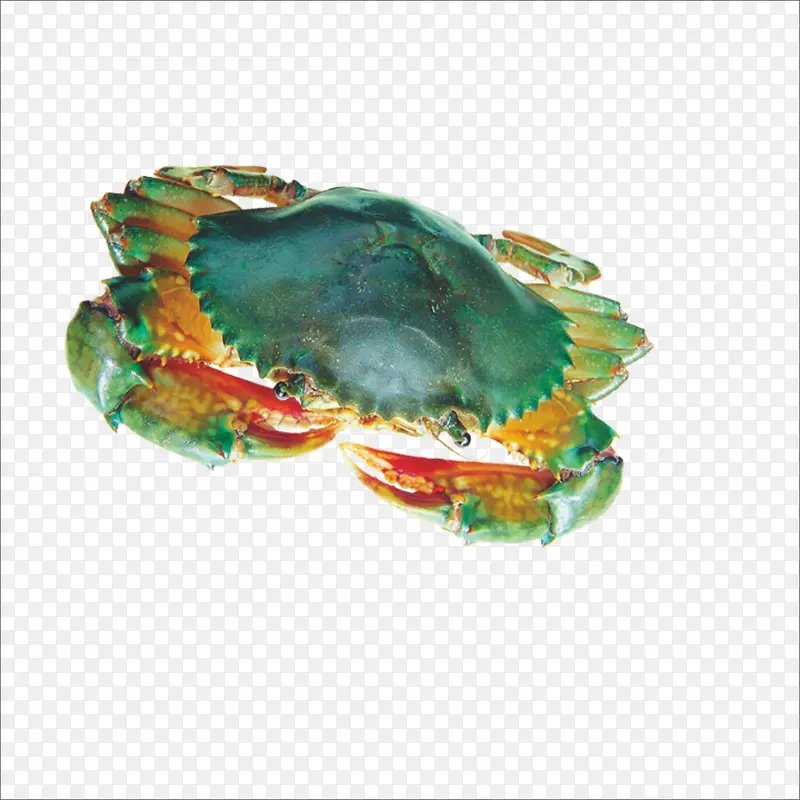 蟹