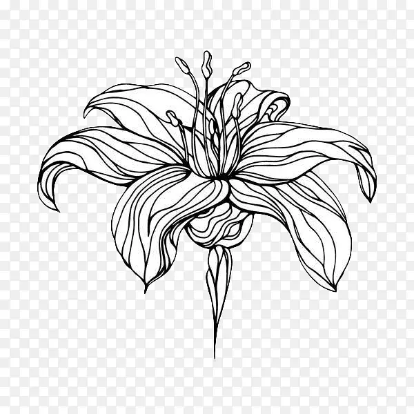 黑色线描花卉