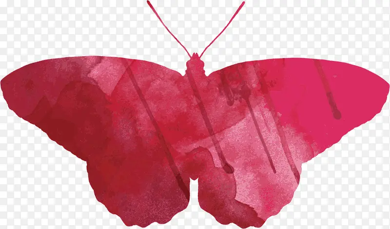 矢量图水彩红色蝴蝶
