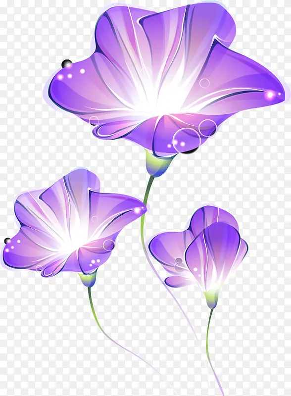 3D牵牛花