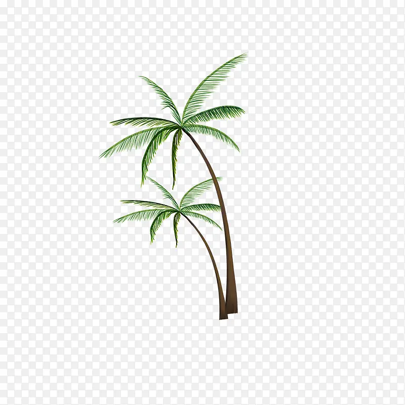 夏天海报植物绿色小清新树木椰子树
