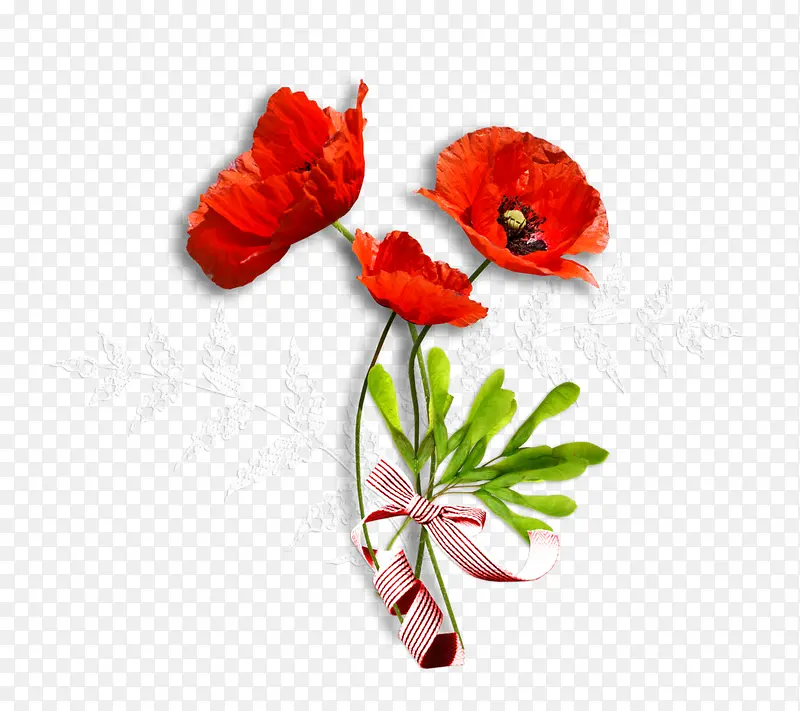 红色花朵花枝一朵花