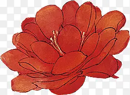 手绘红色花朵素材