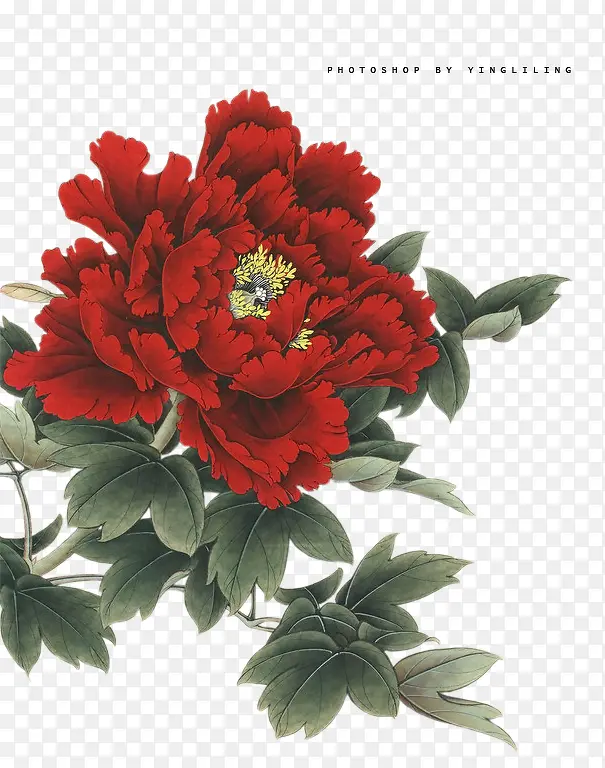 红色分层美丽花朵水墨