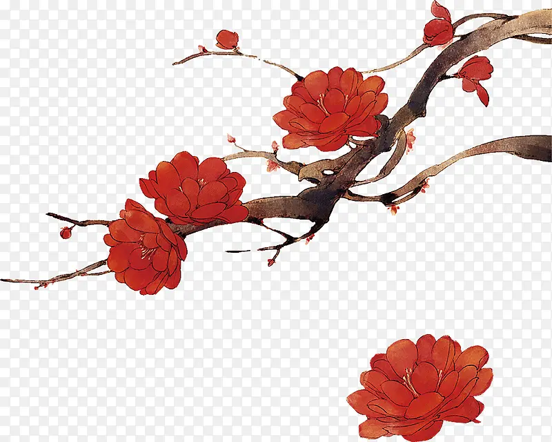花枝红色花朵素材