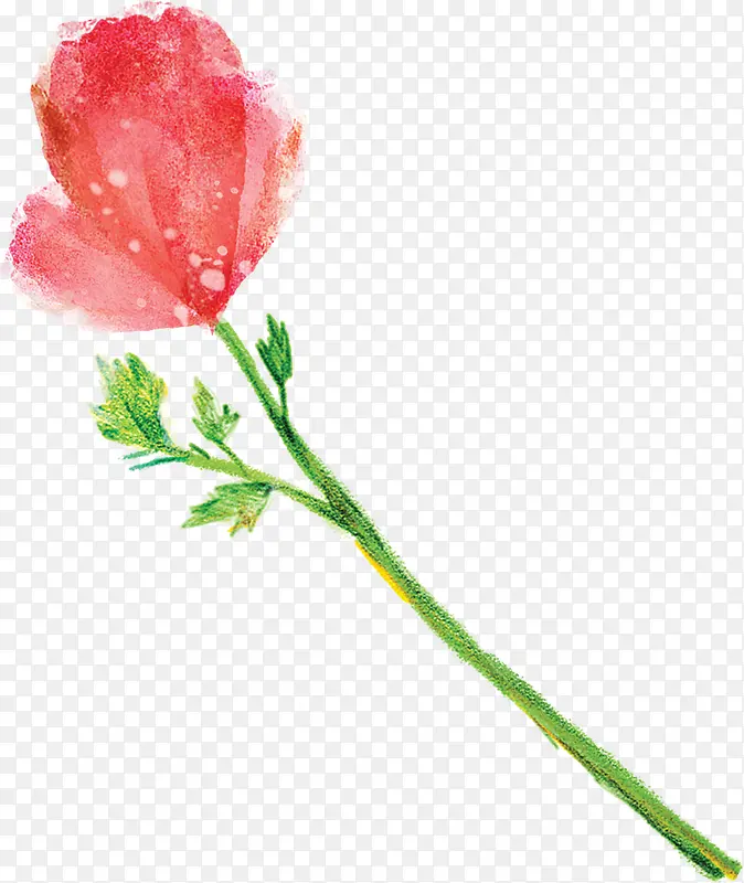 高清彩绘风格红色花朵合成效果