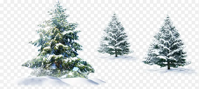 圣诞树装饰美景冬日