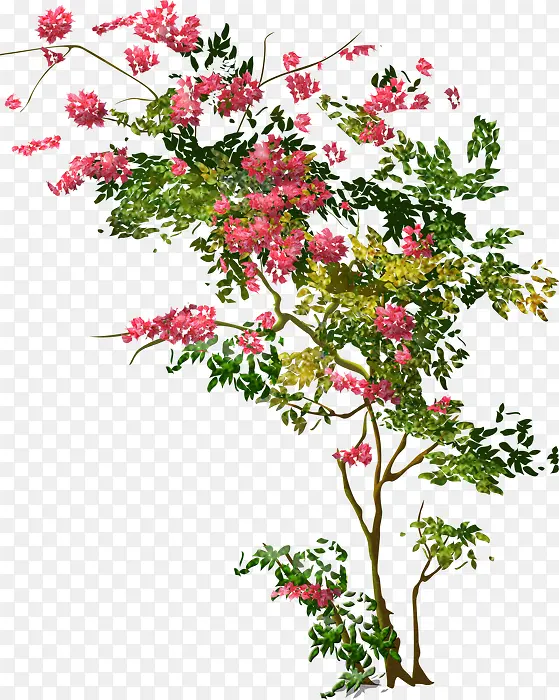植物绿树红色花朵