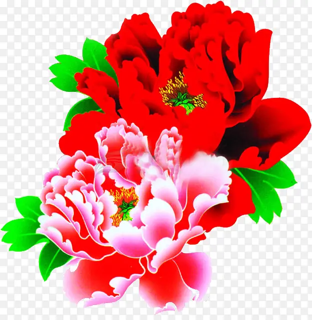 创意高清效果红色的鲜艳的花朵