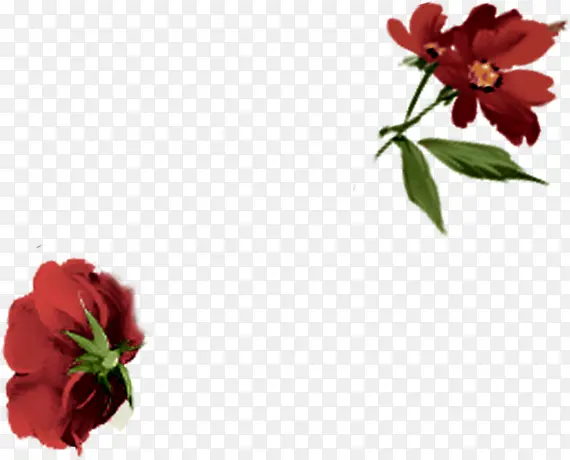 手绘红色婚礼花朵