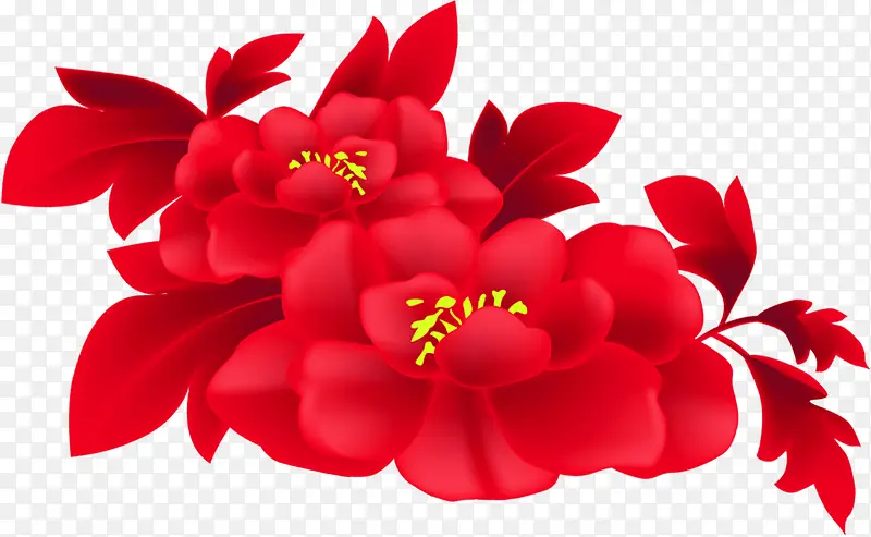 中秋节红色黄芯花朵