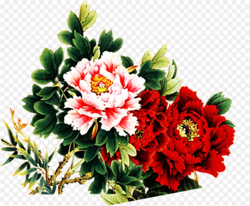 立绘高清红色粉色花朵高清图片