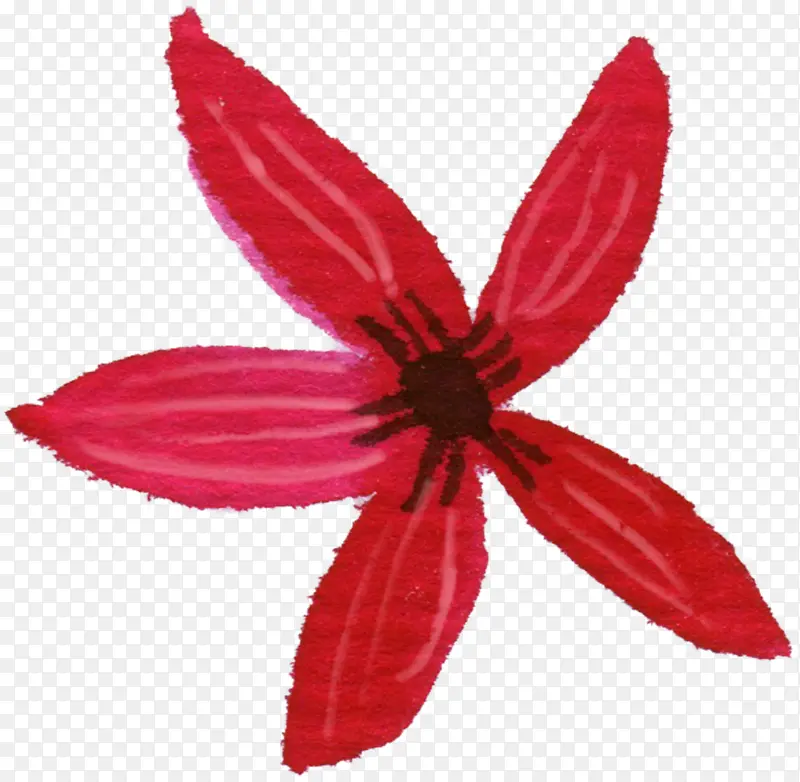 手绘红色简约花朵