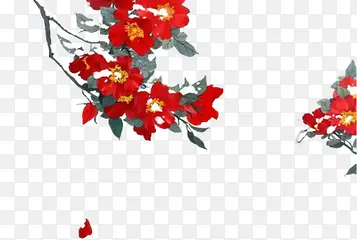红色花朵花枝彩绘