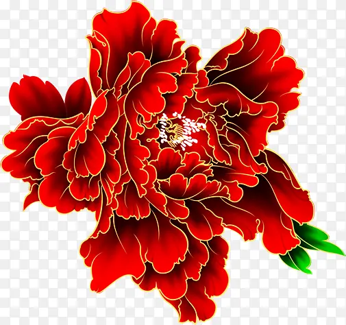 手绘红色花朵展架