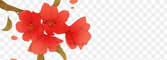 红色花朵手绘