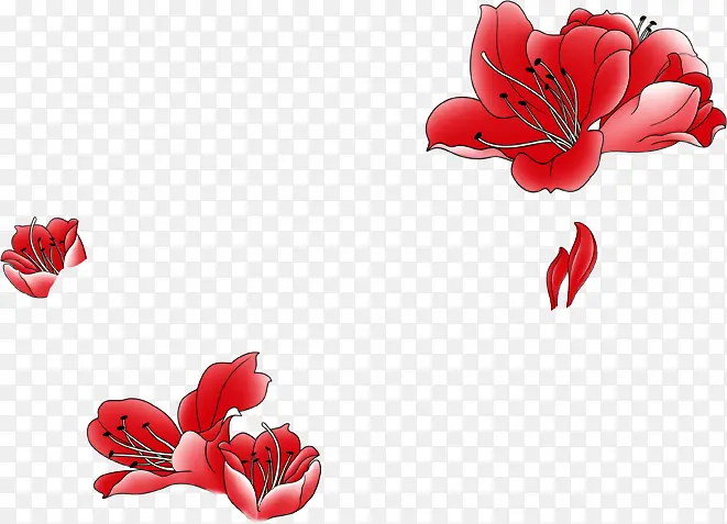 红色手绘花朵美景