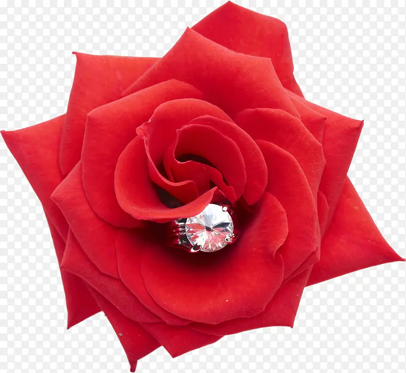 红色婚礼花朵钻石