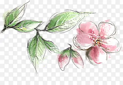 清新春日桃花植物