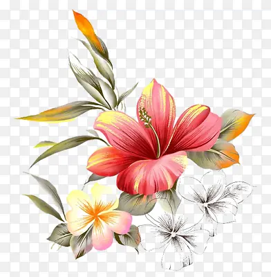 手绘红色花朵花蕊