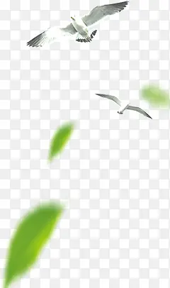 鸟飞翔的鸟绿叶装饰的鸟