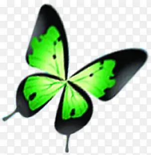 创意合成飞舞的绿色的花蝴蝶