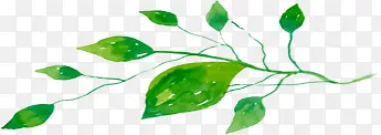绿色清新手绘植物