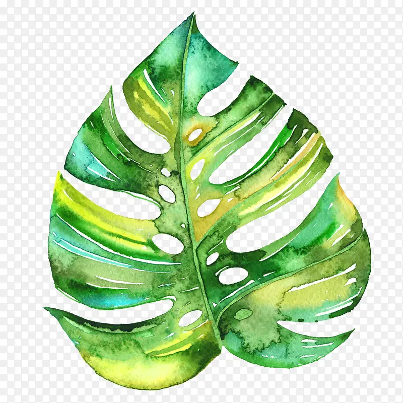 绿色水彩一片叶子装饰图案