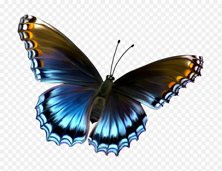 拟物蝴蝶