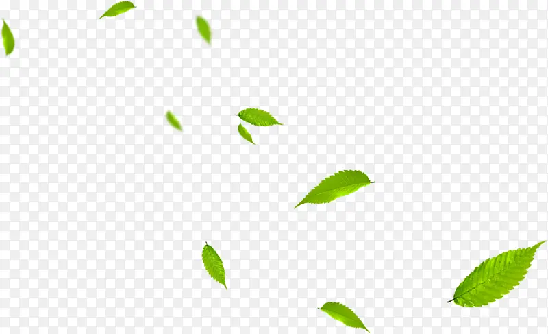 绿叶植物漂浮景观