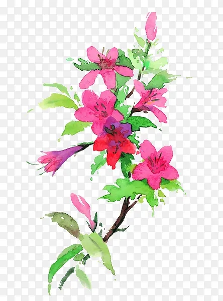 水彩墨花