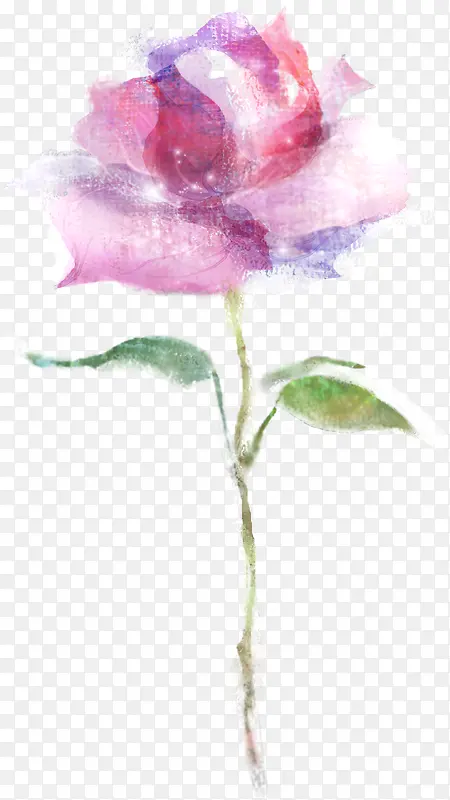 粉紫色手绘水彩玫瑰