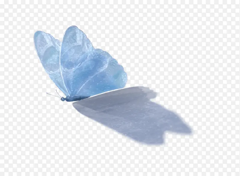 蓝色蝴蝶翅膀蝴蝶