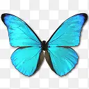 创意合成效果蓝色的蝴蝶