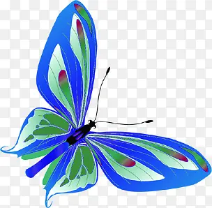 蓝色水彩蝴蝶设计