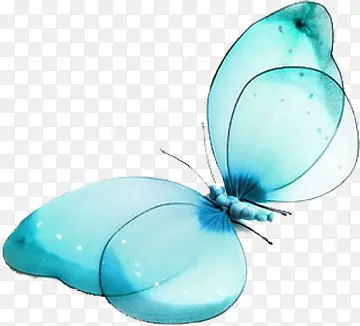 蓝色唯美蝴蝶