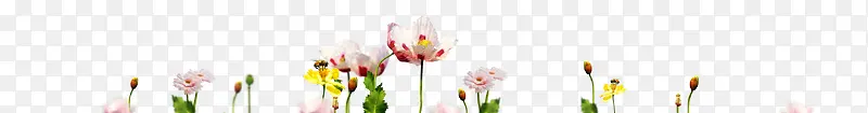 粉红花朵装饰图片
